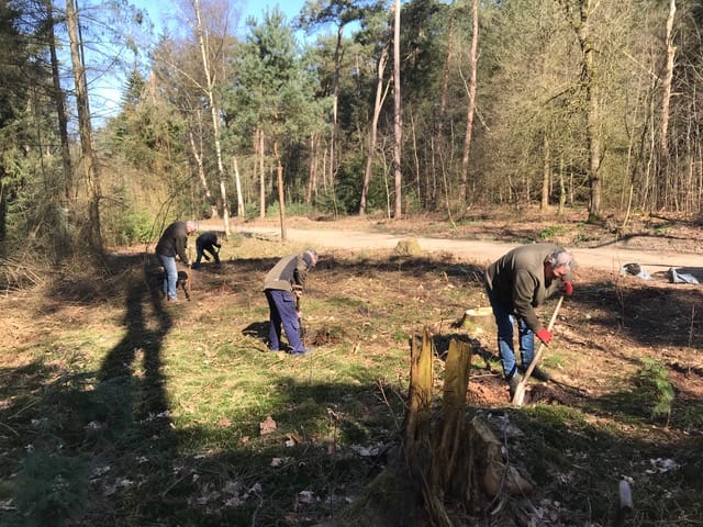 Boswerkgroep Luntersche Buurtbosch actief
