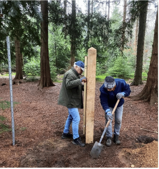 Boswerkgroep volop aan het werk